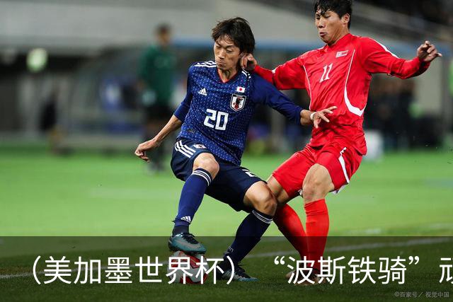 （美加墨世界杯）“波斯铁骑”顽强两连平 伊朗队期待更进一步